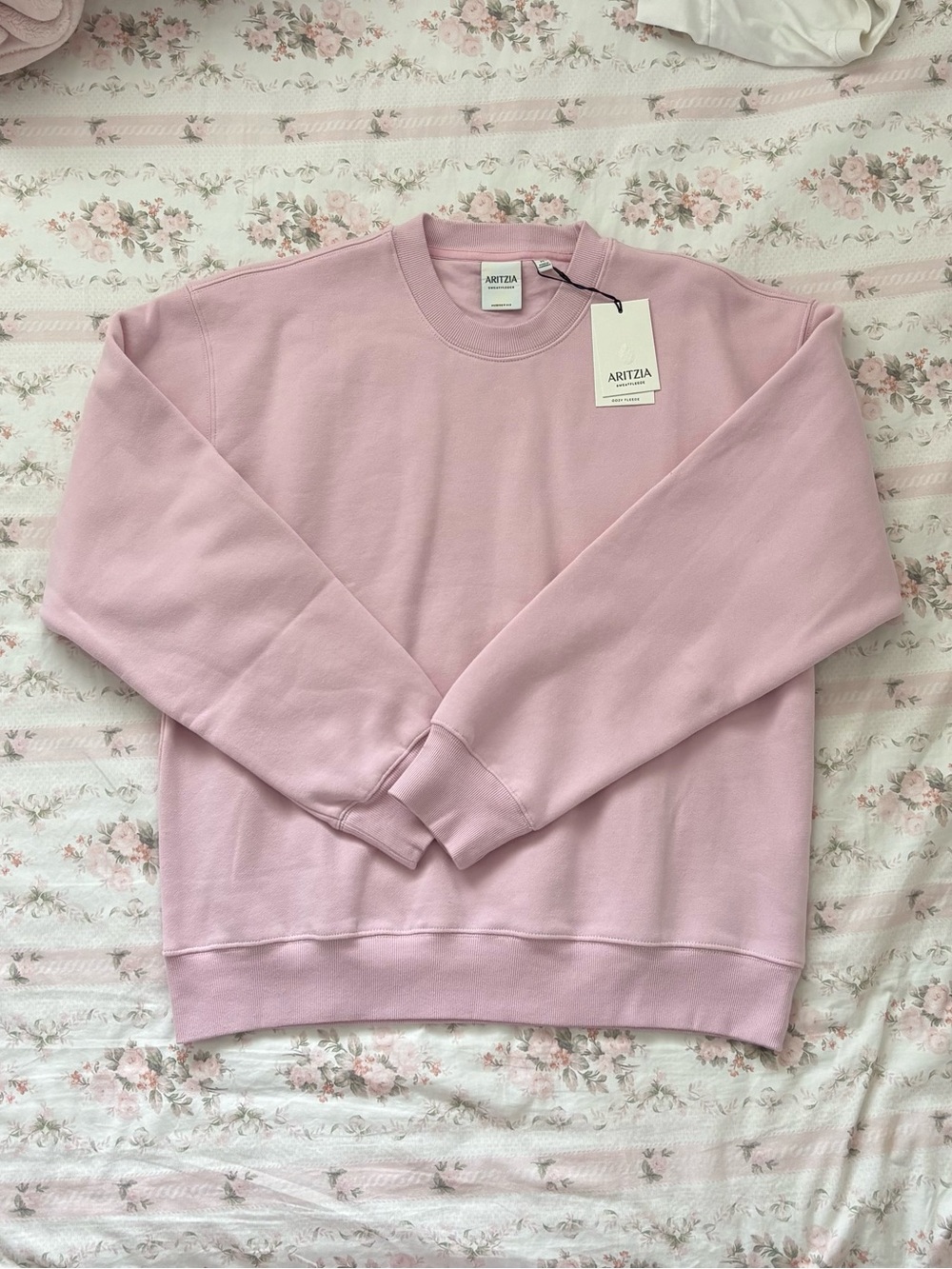 Aritzia cupid pink sweat fleece perfect sweatshirt crewneck